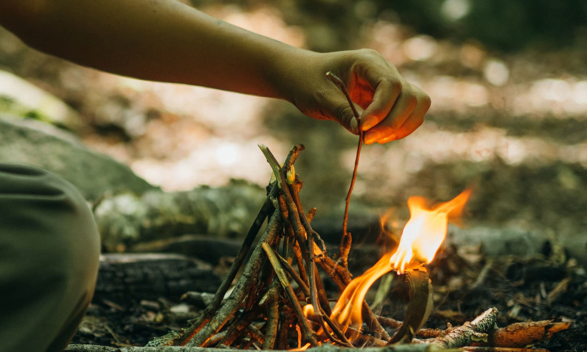 Campers enjoying outdoor activities at Farm & Wilderness in Plymouth, Vermont