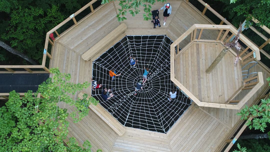 Children exploring nature at VINS Nature Center in Quechee, Vermont
